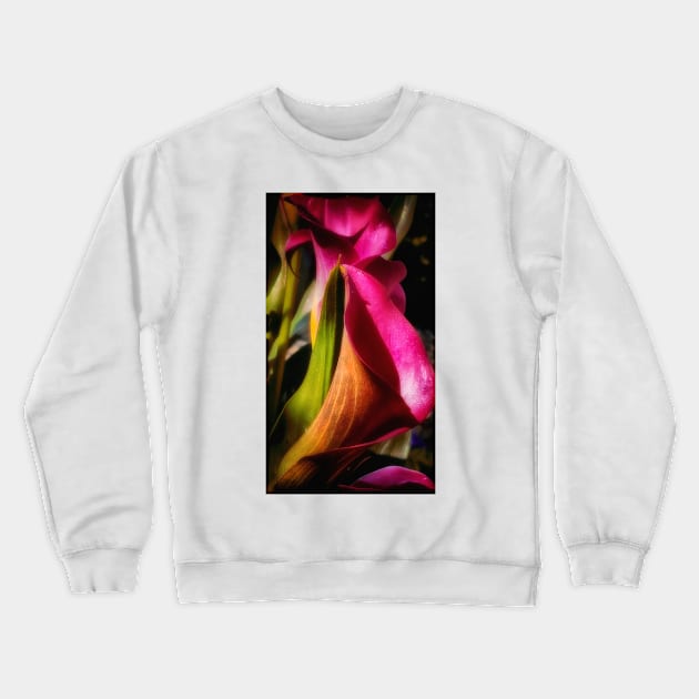 Calla Lily In Bloom Crewneck Sweatshirt by JimDeFazioPhotography